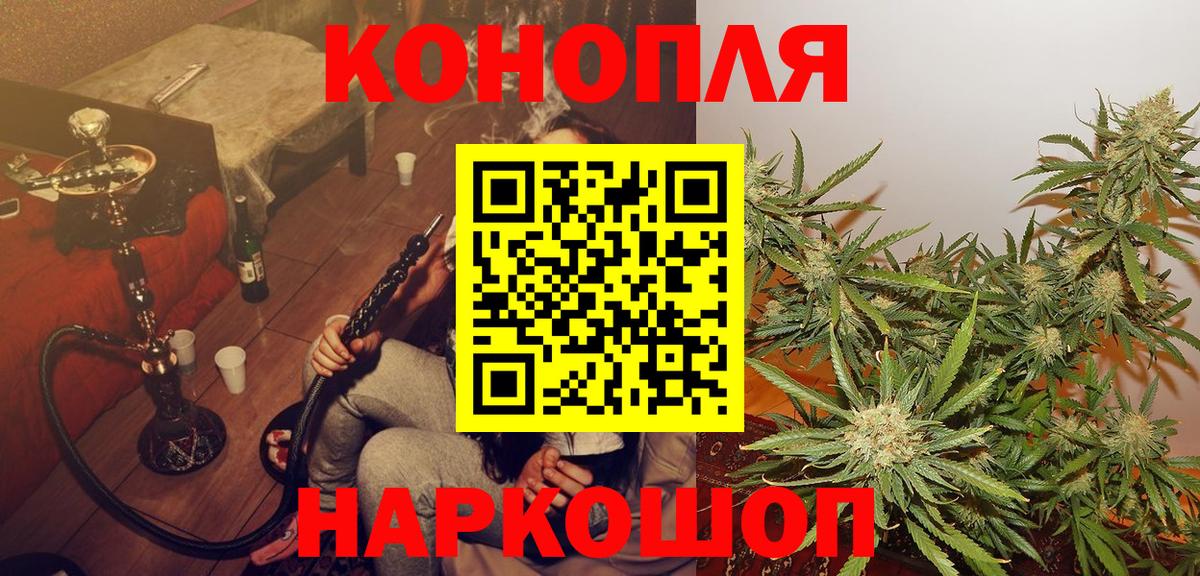 Бошки марихуана планчик Нижнеудинск